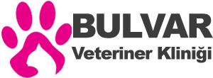biVet
